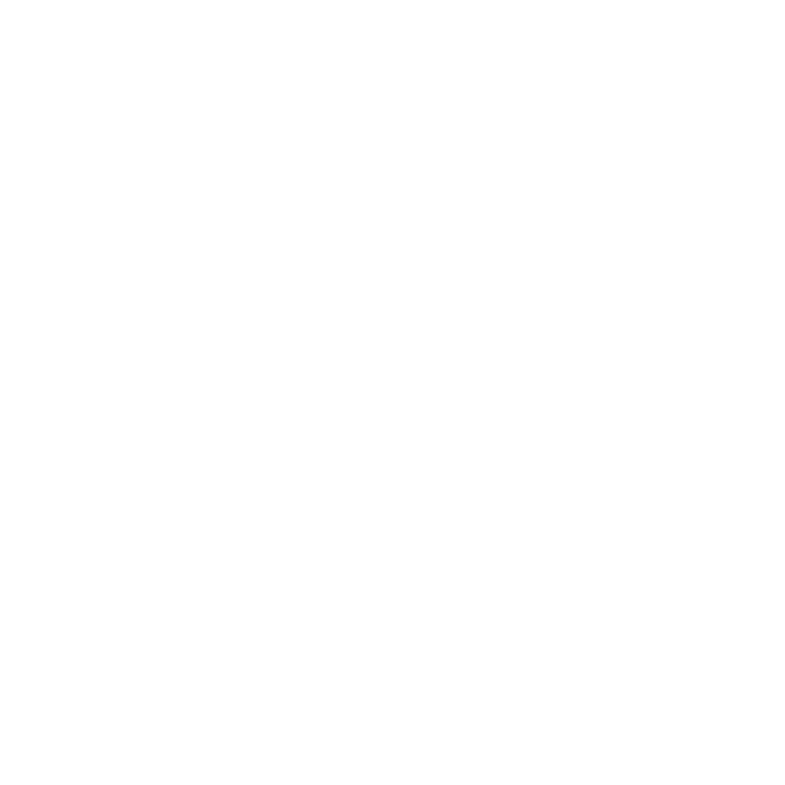 PlayIrish logo